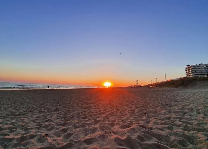 Familial A 50m De La Avec Parking Prive, Balcon Et Lave-linge - Fr-1-224c-60 아파트 *